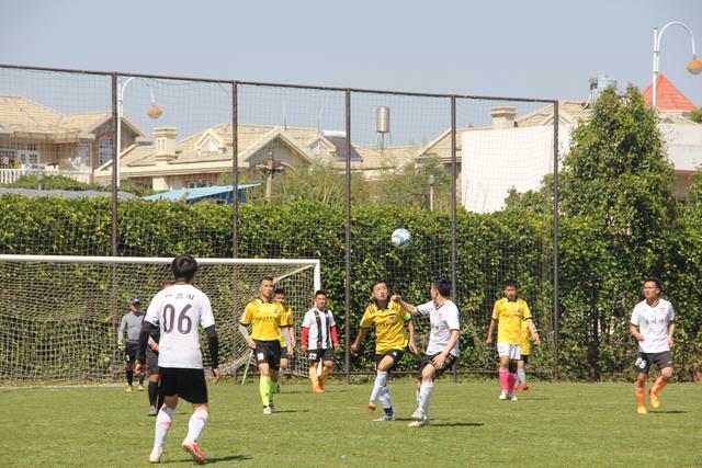 字母哥三双雄鹿大胜猛龙 步行者轻取篮网3连胜